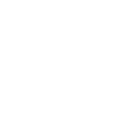 N-MET Supplement